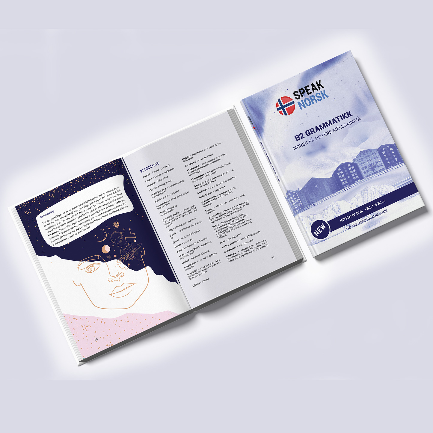 B2 Grammar book – Master Advanced Norwegian