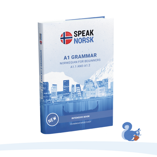 A1 Grammar book - Norwegian for Beginners: Grammar Made Easy