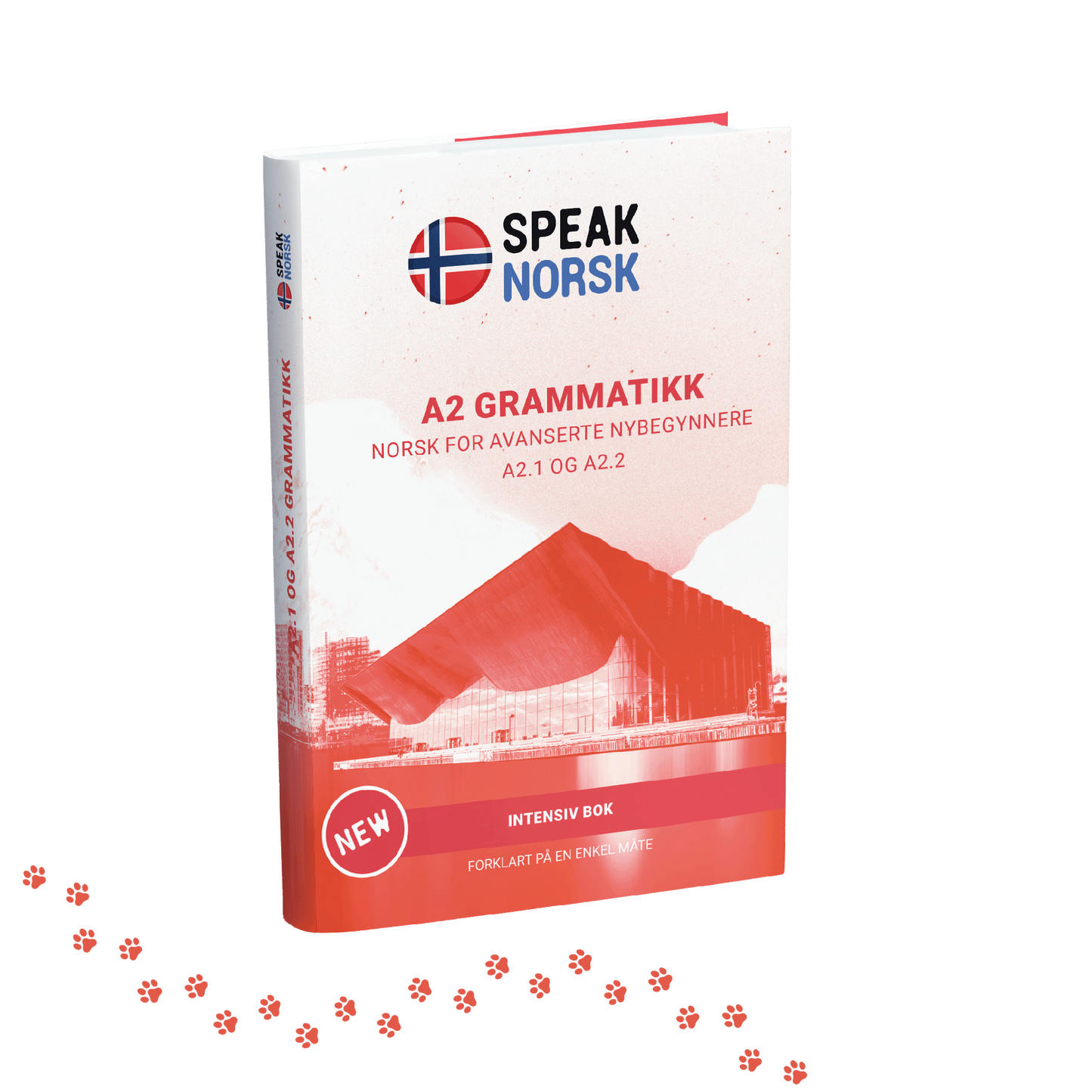 A2 Grammar book – Norwegian Explained Easily!