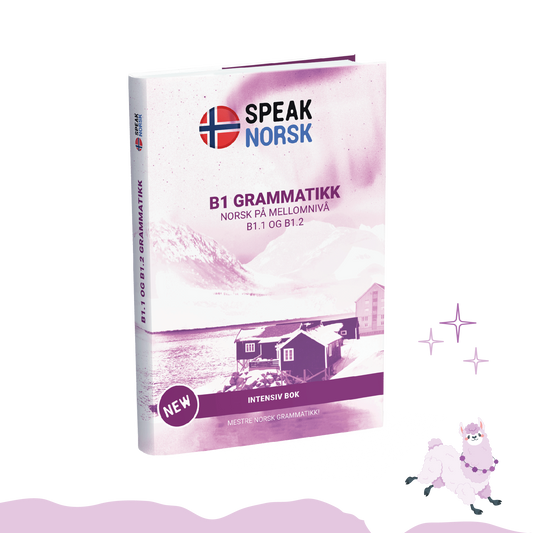 B1 Grammar book - Master Intermediate Grammar