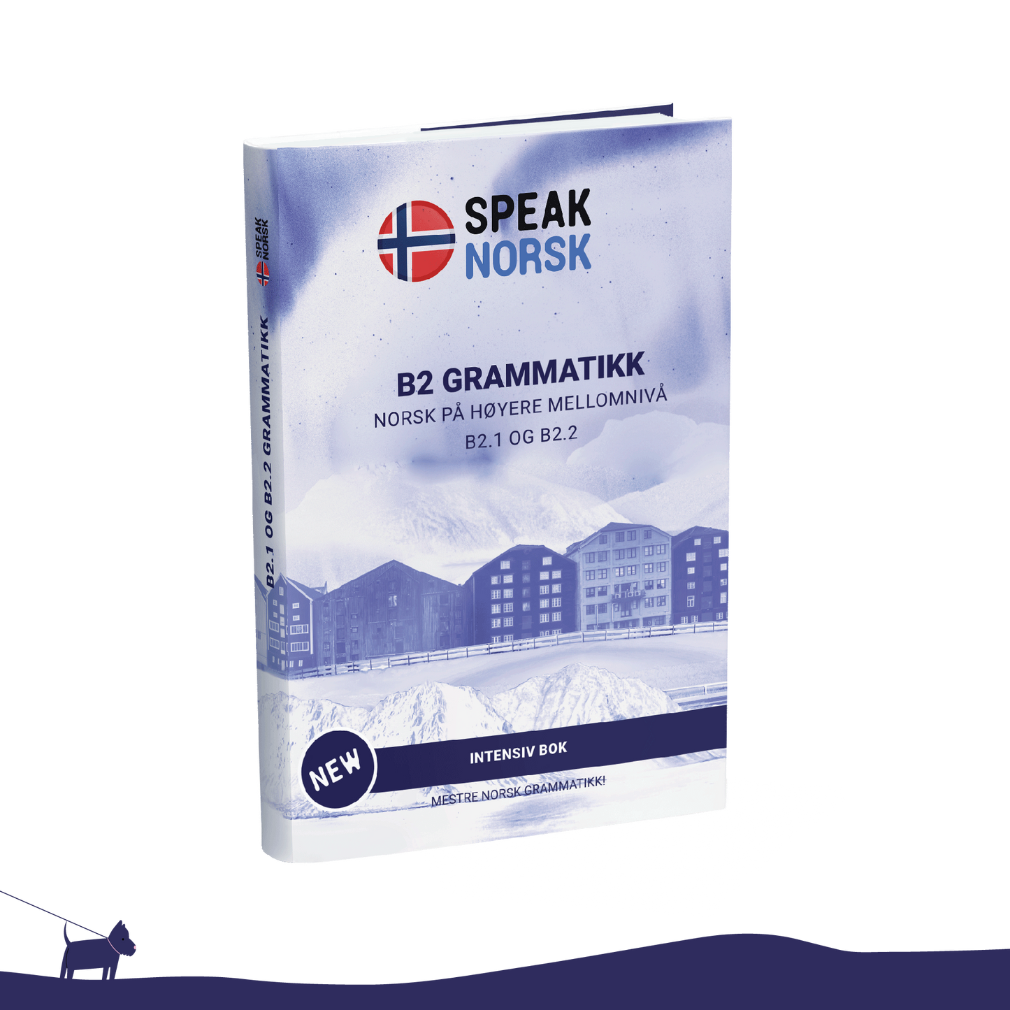 B2 Grammar book – Master Advanced Norwegian