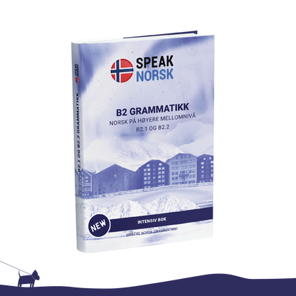 B2 Grammar book – Master Advanced Norwegian